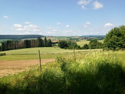 dto.  (Bild vergr&ouml;&szlig;ern)