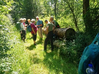 Rast oberhalb vom OT F&auml;llerwasser  (Bild vergr&ouml;&szlig;ern)