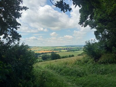 Blick zur&uuml;ck nach Bad Gandersheim  (Bild vergr&ouml;&szlig;ern)