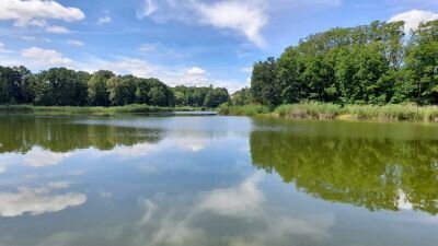 Foto des Albums: Tour der Freizeitradler nach Reichenow-Batzlow-Reichenberg (20. 06. 2024)