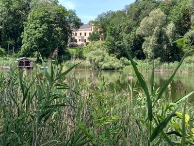 Vorschaubild: 20 Im Gutspark von Möglin