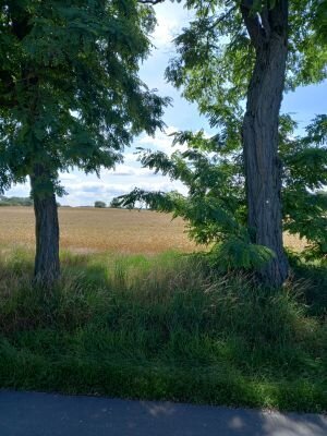 Foto des Albums: Tour der Freizeitradler nach Reichenow-Batzlow-Reichenberg (20. 06. 2024)