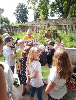 Foto des Albums: Sommerferien 