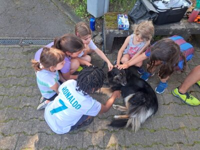 Foto des Albums: Bundesjugendspiele 2024