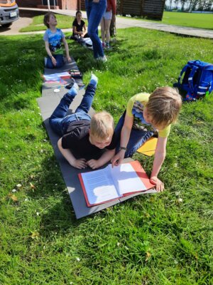 Foto des Albums: Monatsbilder Mai/Juni 2024