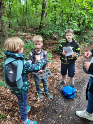 Foto des Albums: Klassenfahrt der Bären nach Sandkrug