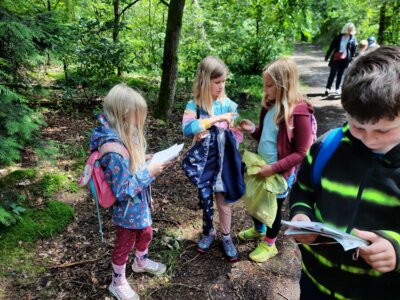 Foto des Albums: Klassenfahrt der Bären nach Sandkrug