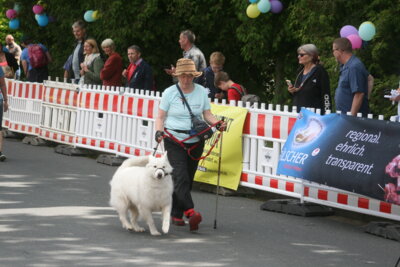 Foto des Albums: 9. Sternenlauf in Seester (23.06.2024)