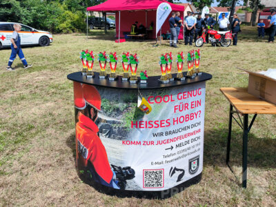 Foto des Albums: Beim Stadtjugendfeuerwehrtag traten rund 100 junge Brandschützer an