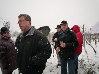 Foto des Albums: Winterwanderung