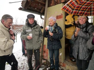 Foto des Albums: Winterwanderung