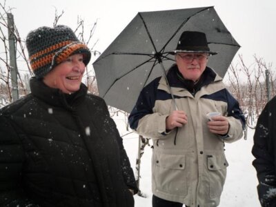 Foto des Albums: Winterwanderung