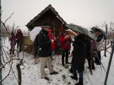 Foto des Albums: Winterwanderung