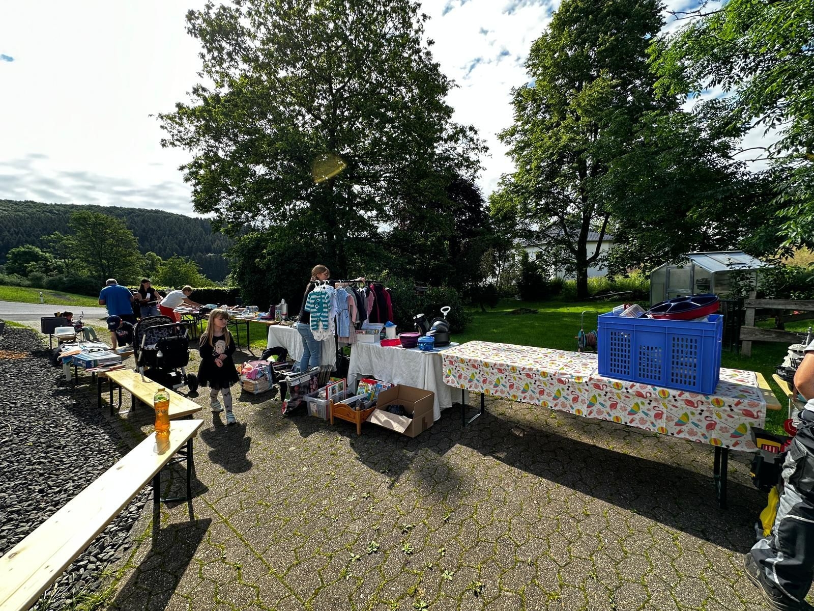Bild der Galerie