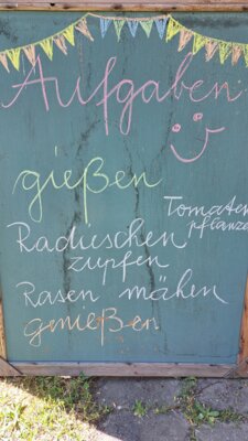 Bewerbung 1 