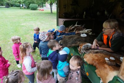 verschiedene Felle der Tiere  (Bild vergrößern)