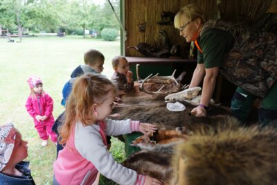 mal weich & mal borstig  (Bild vergrößern)
