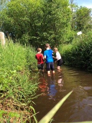 5 Kinder im  Bach 