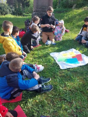 Foto des Albums: Naturparkmodul 