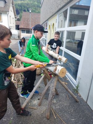 Foto des Albums: Naturparkmodul 