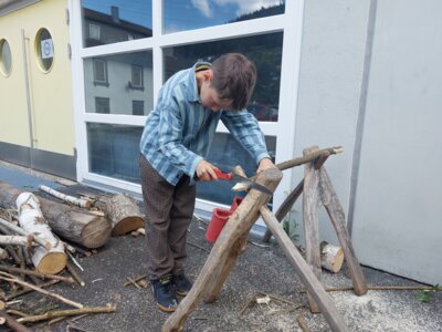 Foto des Albums: Naturparkmodul 
