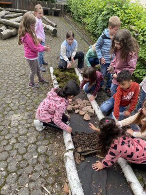 Foto des Albums: Erneuerung Barfußpfad und 