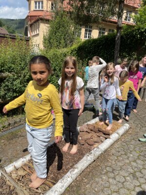 Foto des Albums: Erneuerung Barfußpfad und 