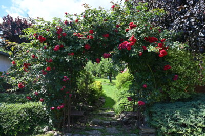 Vorschaubild: 16-Idylle-im-Garten-eines-Sölderhauses