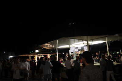 Foto des Albums: Altststadtfest - Tag 1 (28.06.2024)