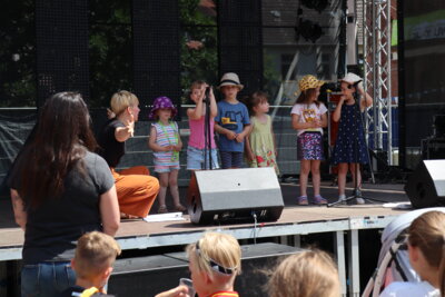 Foto des Albums: Altstadtfest - Tag 2 (29.06.2024)