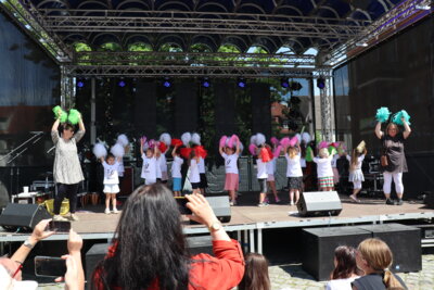 Foto des Albums: Altstadtfest - Tag 2 (29.06.2024)