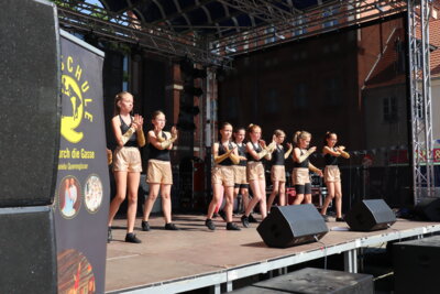 Foto des Albums: Altstadtfest - Tag 2 (29.06.2024)