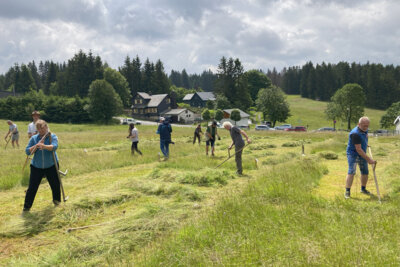 Foto des Albums: Impressionen 21. Mahdwettbewerb