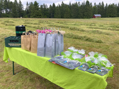 Foto des Albums: Impressionen 21. Mahdwettbewerb