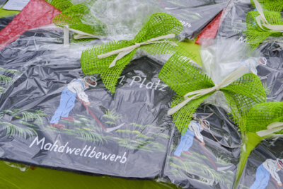 Foto des Albums: Impressionen 21. Mahdwettbewerb