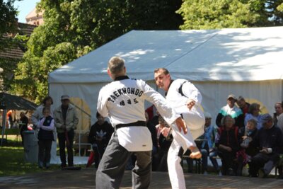 Foto des Albums: Stadtfest Freyenstein 2024 (15.06.2024)