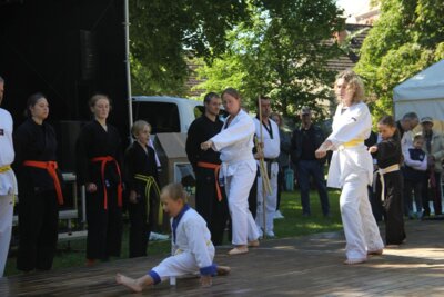 Foto des Albums: Stadtfest Freyenstein 2024 (15.06.2024)