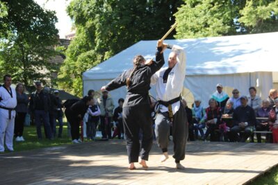 Foto des Albums: Stadtfest Freyenstein 2024 (15.06.2024)