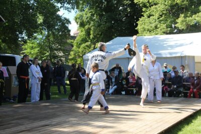 Foto des Albums: Stadtfest Freyenstein 2024 (15.06.2024)