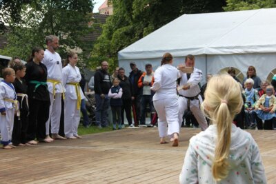 Foto des Albums: Stadtfest Freyenstein 2024 (15.06.2024)