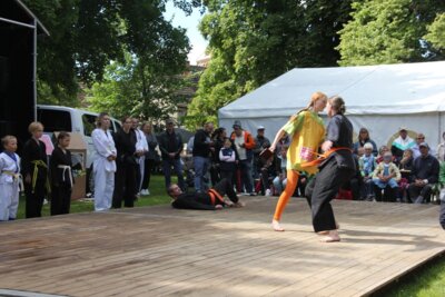 Foto des Albums: Stadtfest Freyenstein 2024 (15.06.2024)