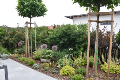 Foto des Albums: Tag der offenen Gartentür am 30. Juni 2024 in Ruhstorf und Pischelsdorf