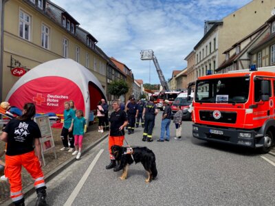 Foto des Albums: Wittstocker Stadtfest 2024 (05.07.2024)