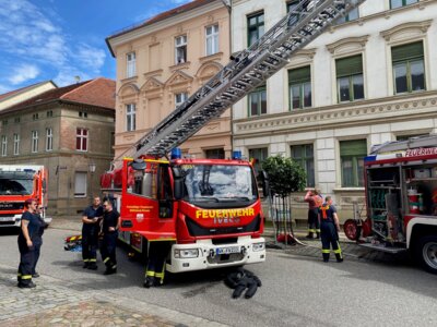 Foto des Albums: Wittstocker Stadtfest 2024 (05.07.2024)