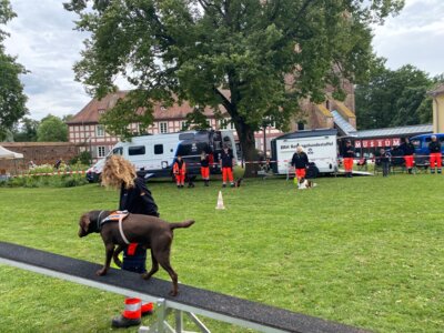 Foto des Albums: Wittstocker Stadtfest 2024 (05.07.2024)