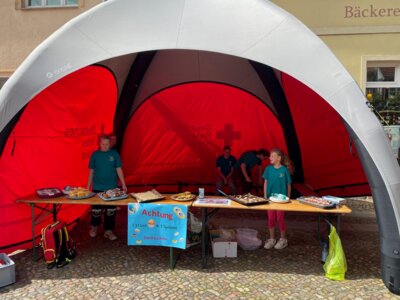 Foto des Albums: Wittstocker Stadtfest 2024 (05.07.2024)