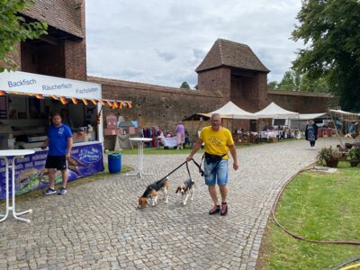 Foto des Albums: Wittstocker Stadtfest 2024 (05.07.2024)