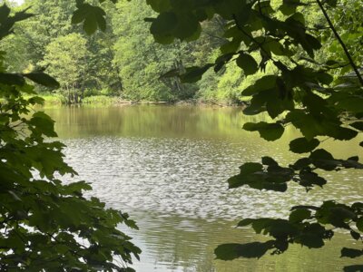 Foto des Albums: Klassenfahrt an die Biberburg