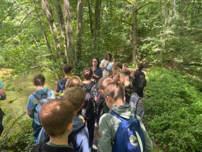 Foto des Albums: Klassenfahrt an die Biberburg