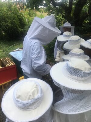 Foto des Albums: Bienen 2024
